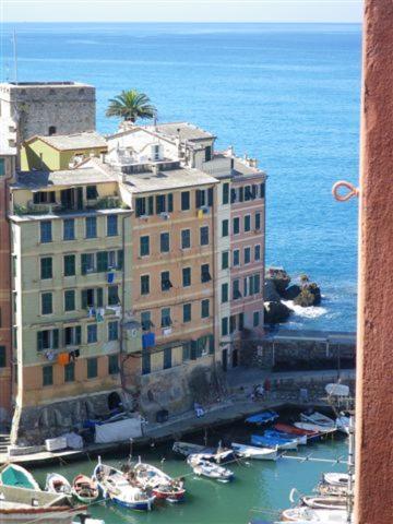 Sul Porto A 2 Minuti Dal Mare Citra010007-Lt-0079 Lägenhet Camogli Exteriör bild